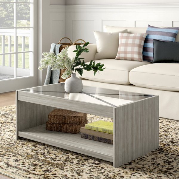 Gracie Oaks Laguna Coffee Table with Storage & Reviews Wayfair